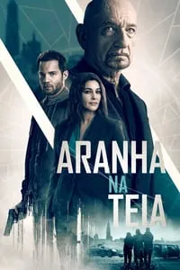 Aranha na Teia