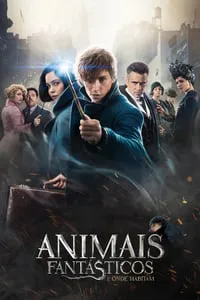 Animais Fantásticos e Onde Habitam 2 Filmes