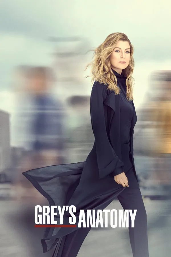 Grey’s Anatomy 14ª Temporada Completa