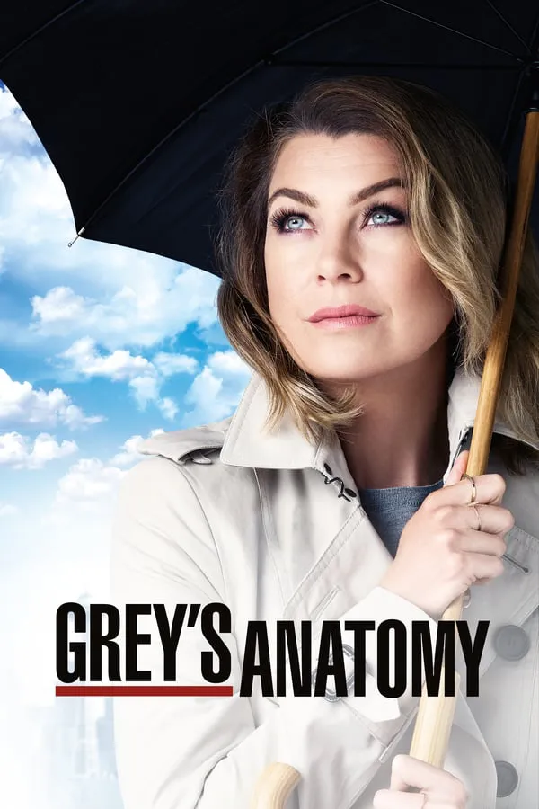 Grey’s Anatomy 16ª Temporada Completa