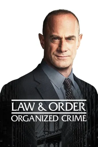 Law & Order: Crime Organizado – 2ª Temporada Completa