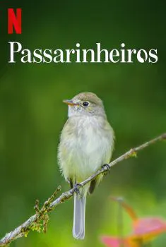 Passarinheiros